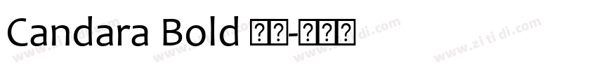 Candara Bold 粗体字体转换